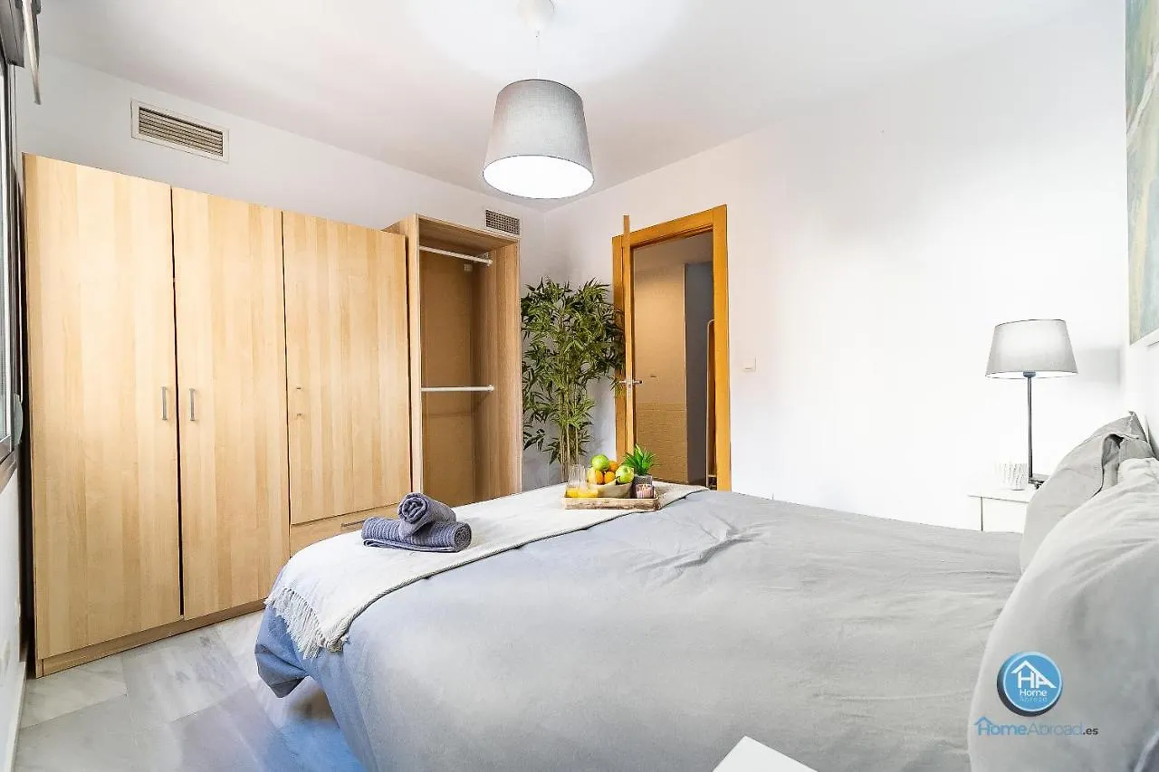 Paseo De La Salud Apartment Malaga 0*,